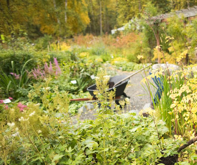 Best advice from best Chiropractor Auckland