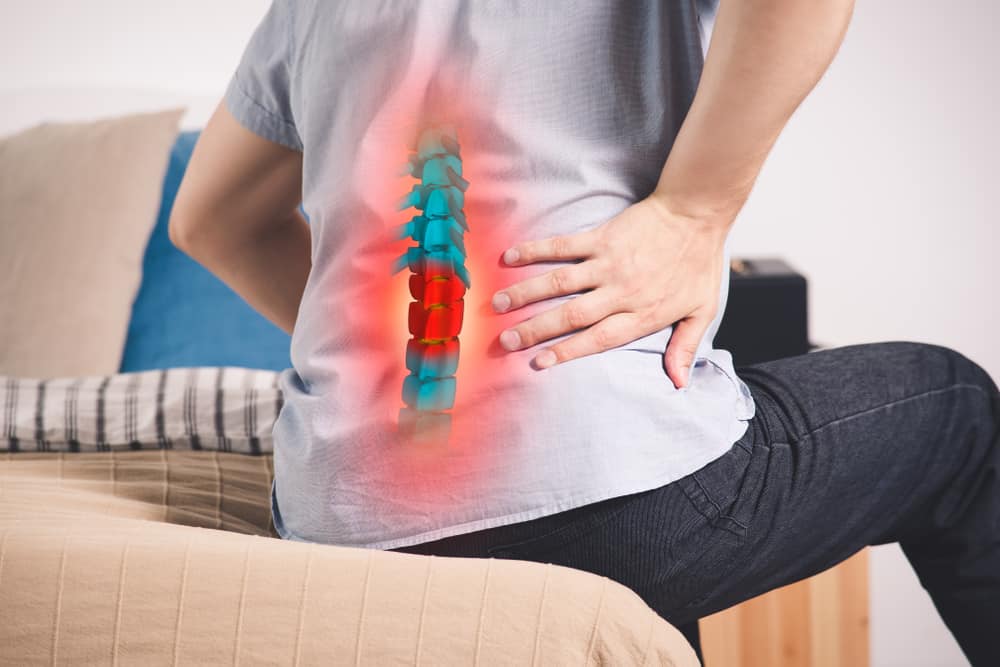 Slipped Disc and Disc Herniation explained at Chirolink Chiropractic Greenlane